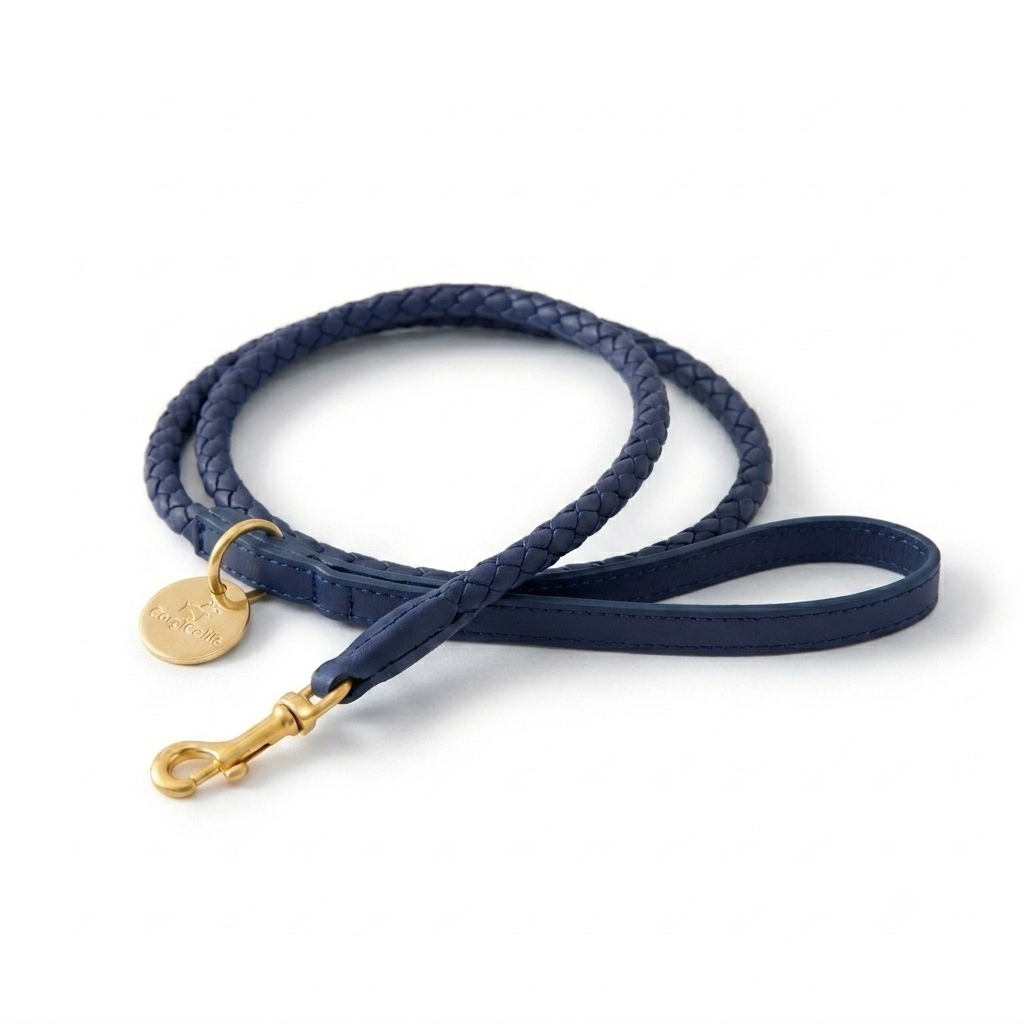 Guinzaglio per cani intrecciato (Navy)