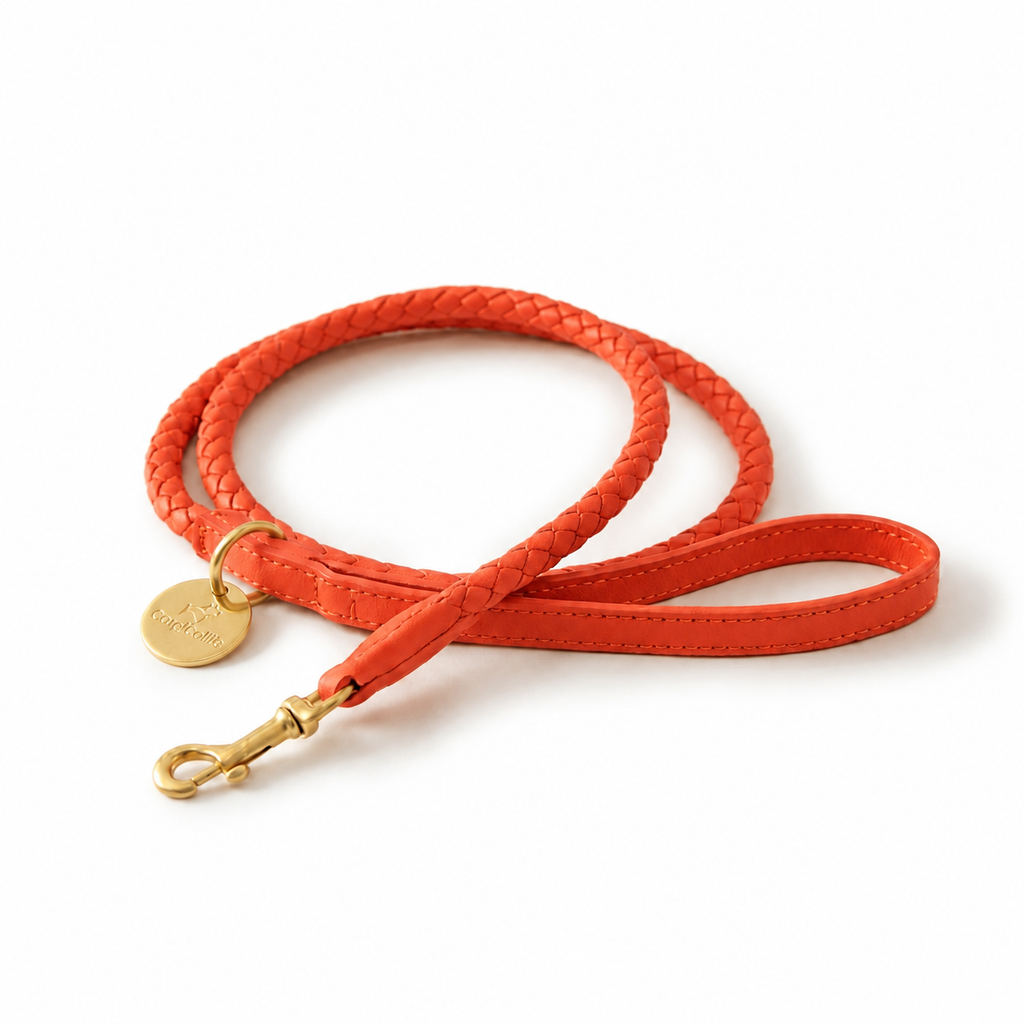 Guinzaglio per cani intrecciato (Arancio)