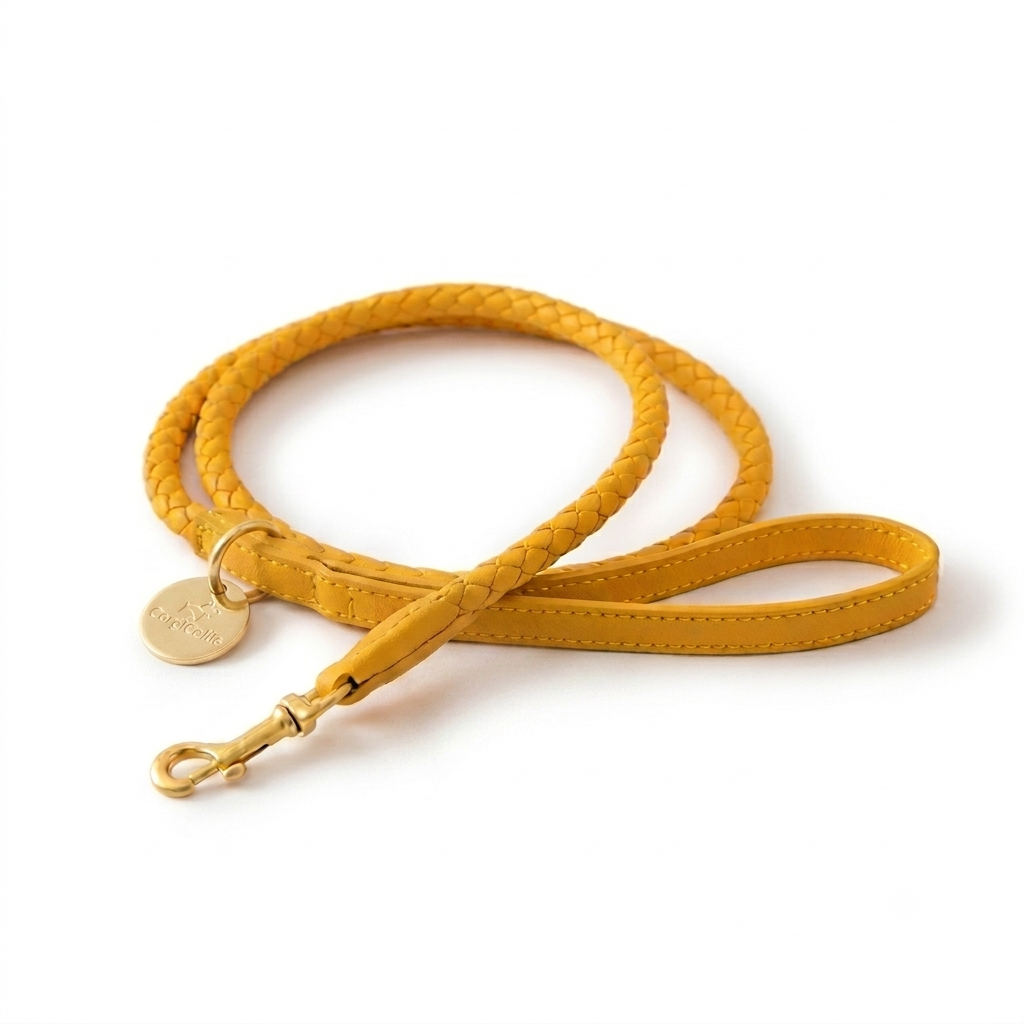 Guinzaglio per cani intrecciato (Giallo)