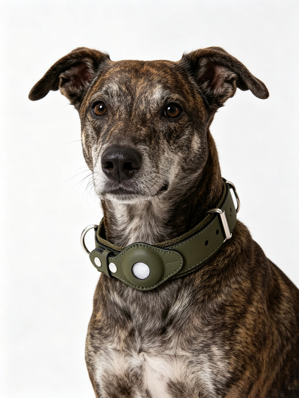 Leather and Fabric Collar with Integrated AirTag Holder (Military Green)