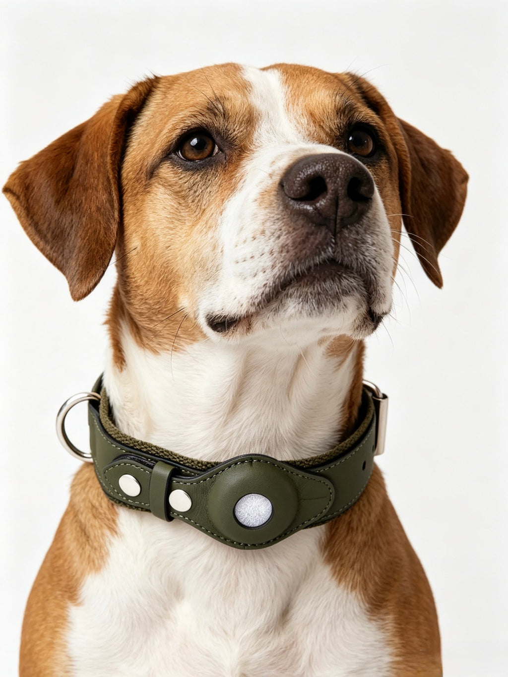 Leather and Fabric Collar with Integrated AirTag Holder (Military Green)