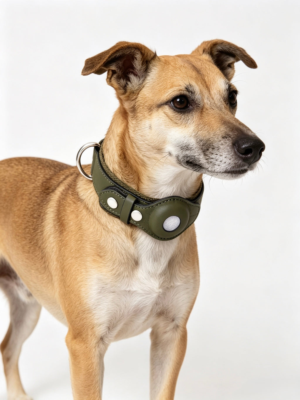 Leather and Fabric Collar with Integrated AirTag Holder (Military Green)