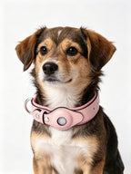 Leather and Fabric Collar with Integrated AirTag Holder (Pink)