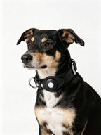 Leather and Fabric Collar with Integrated AirTag Holder (Black)
