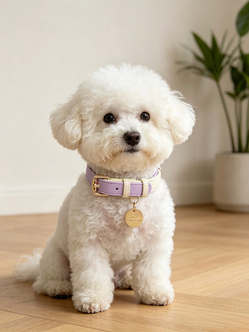 Collare Bicolore in Pelle Pastel (Lilla)