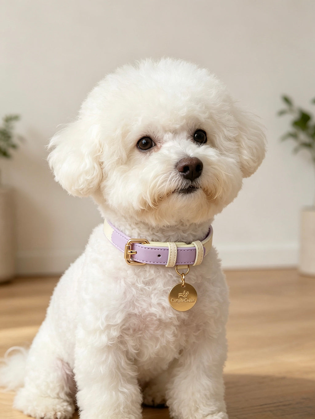 Two-Tone Pastel Leather Collar (Lilac)