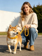 Braided Collar (Yellow)