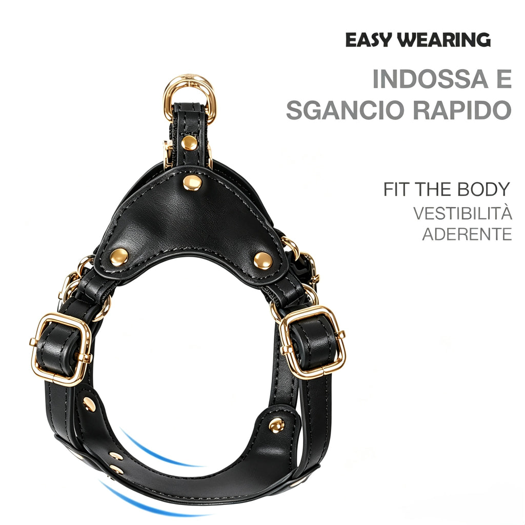 Luxury Dog Harness with Gold Finish (Black)