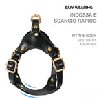 Luxury Dog Harness with Gold Finish (Black)