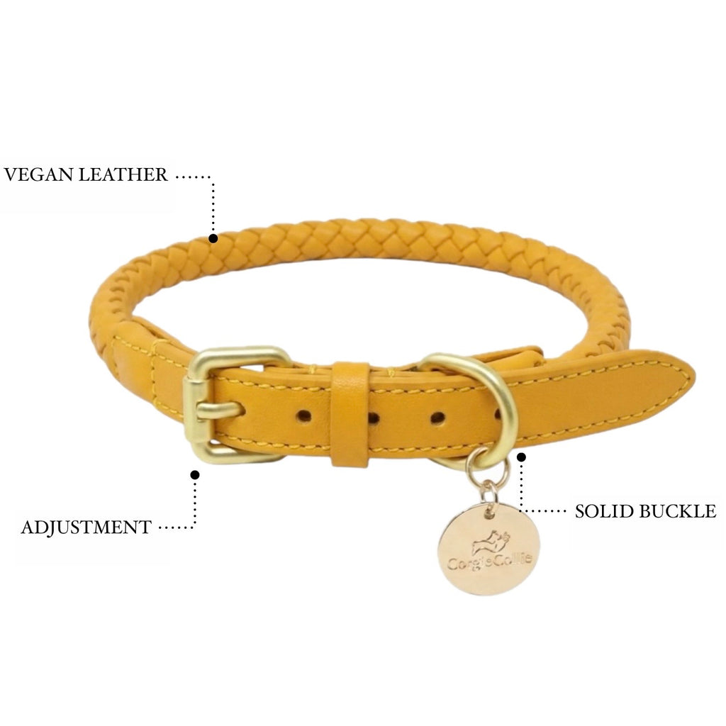 Braided Collar (Yellow)