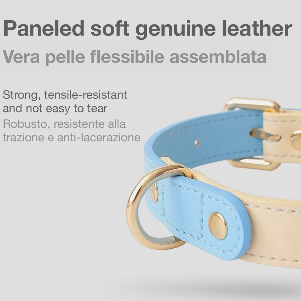 Collare Bicolore in Pelle Pastel (Azzurro)