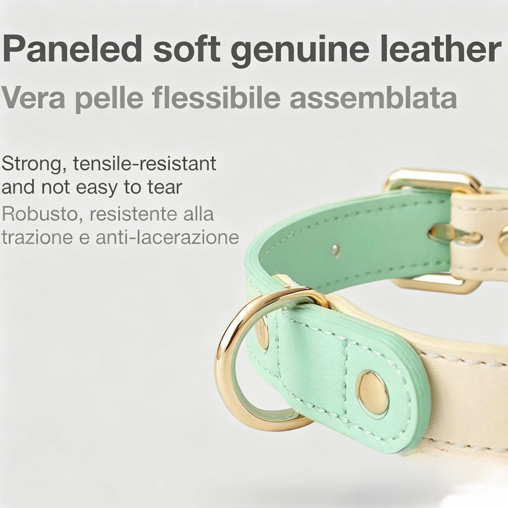 Collare Bicolore in Pelle Pastel (Verde)