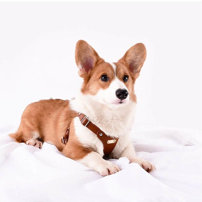 Pettorina per Cani Luxury con Finiture Dorate (Cuoio)