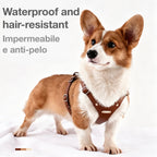 Pettorina per Cani Luxury con Finiture Dorate (Cuoio)