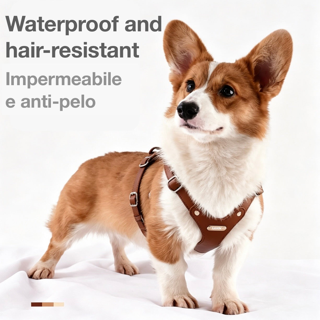 Pettorina per Cani Luxury con Finiture Dorate (Cuoio)