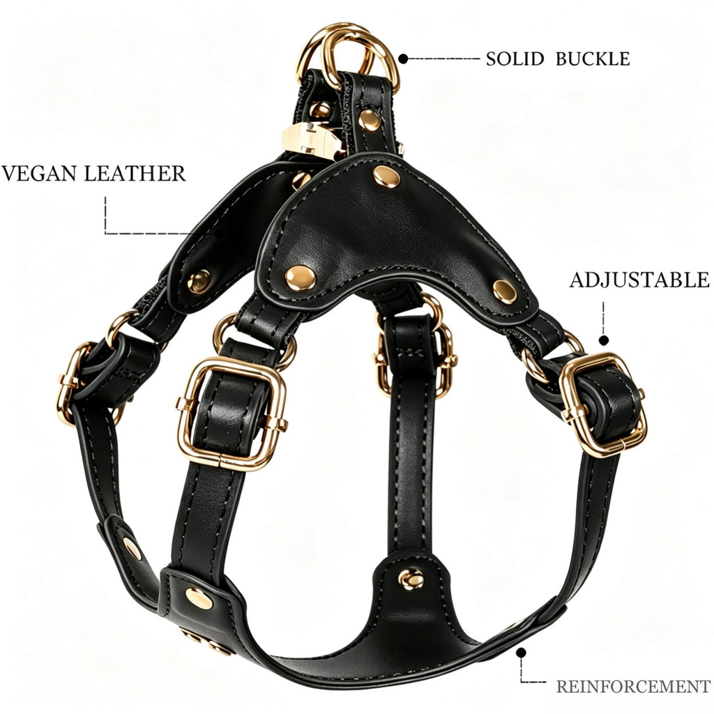 Luxury Dog Harness with Gold Finish (Black)