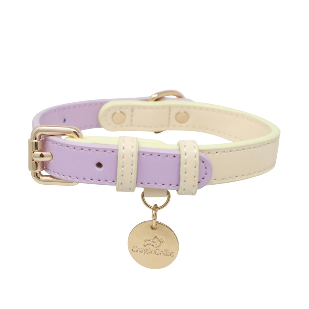 Two-Tone Pastel Leather Collar (Lilac)