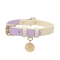 Two-Tone Pastel Leather Collar (Lilac)