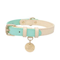 Collare Bicolore in Pelle Pastel (Verde)