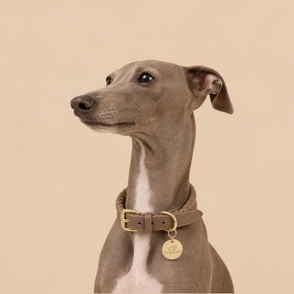 Braided Collar (Dove Grey)