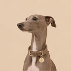 Braided Collar (Dove Grey)
