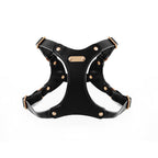 Luxury Dog Harness with Gold Finish (Black)