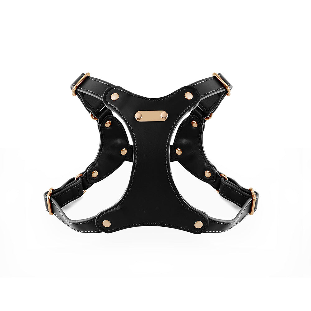 Pettorina per Cani Luxury con Finiture Dorate (Nero)