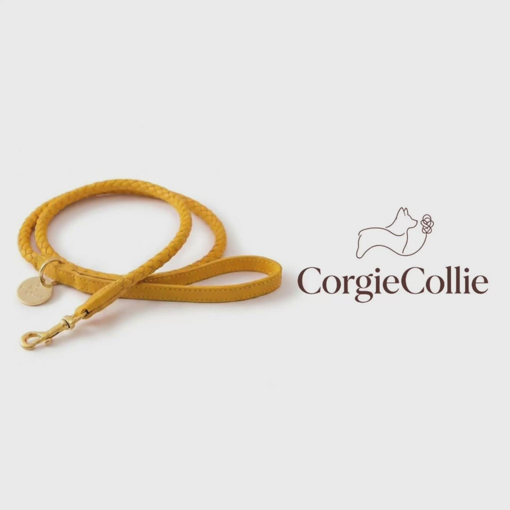 Guinzaglio per cani intrecciato (Tortora)